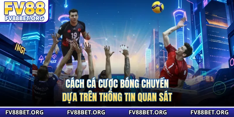 Cách cá cược bóng chuyền dựa trên thông tin quan sát